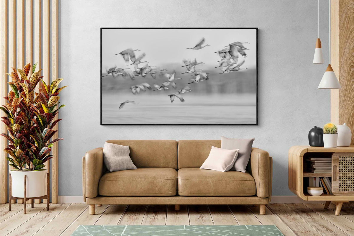 Pixalot ® Crane Migration
