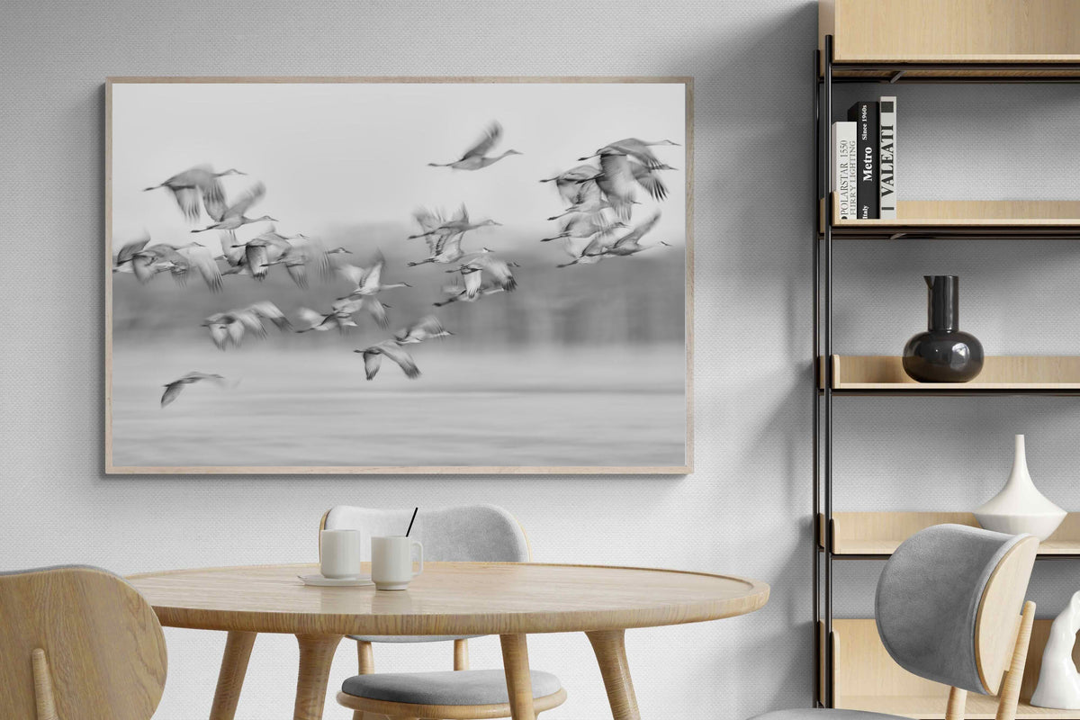 Pixalot ® Crane Migration