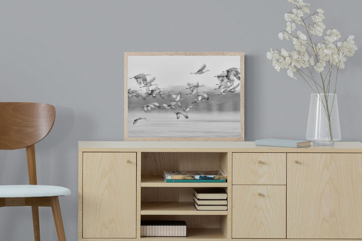 Pixalot ® Crane Migration