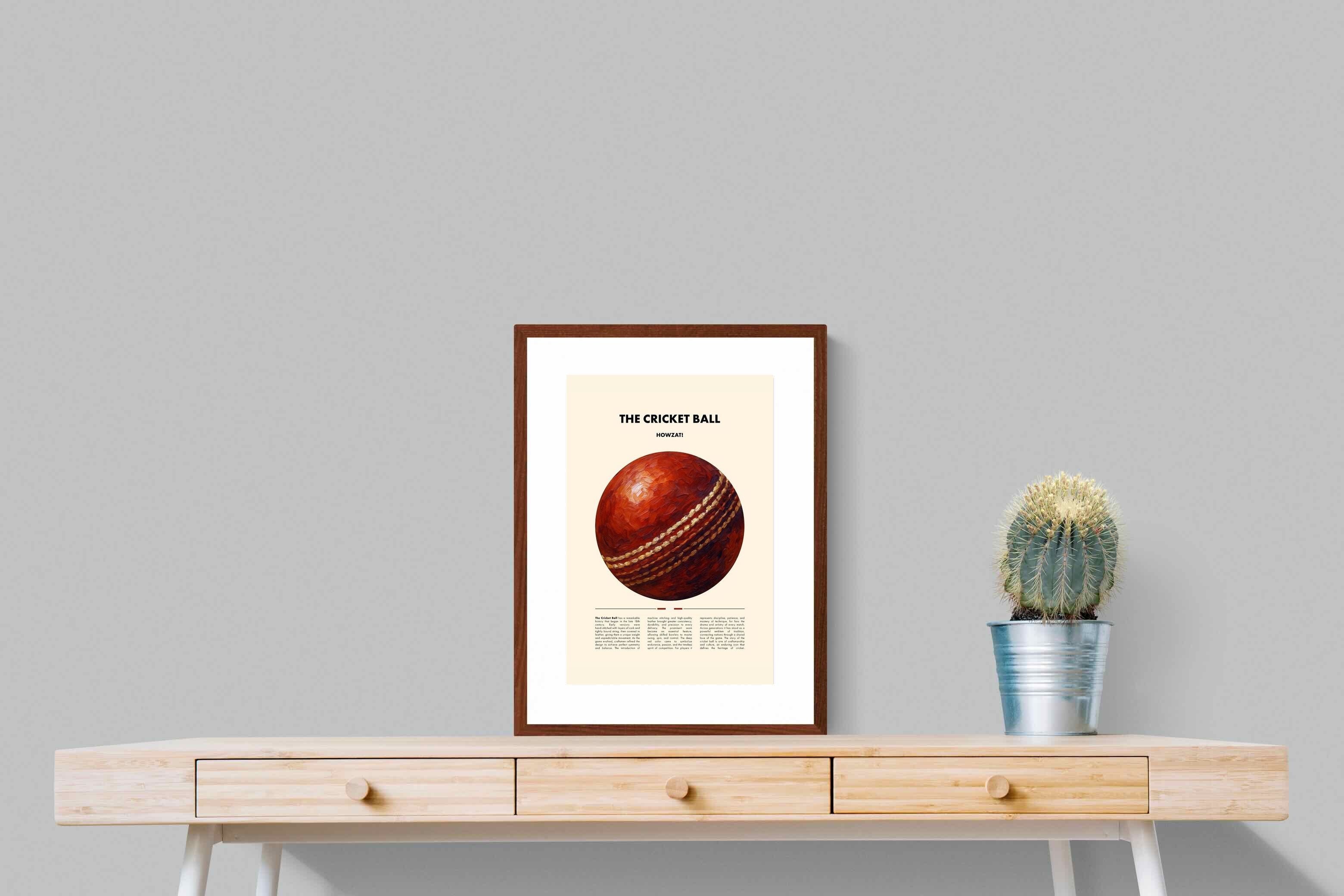 Pixalot ® Cricket Ball
