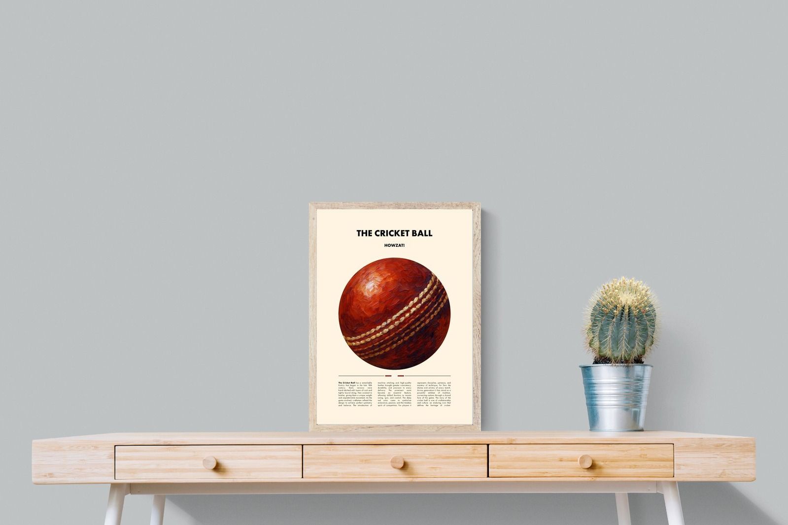 Pixalot ® Cricket Ball