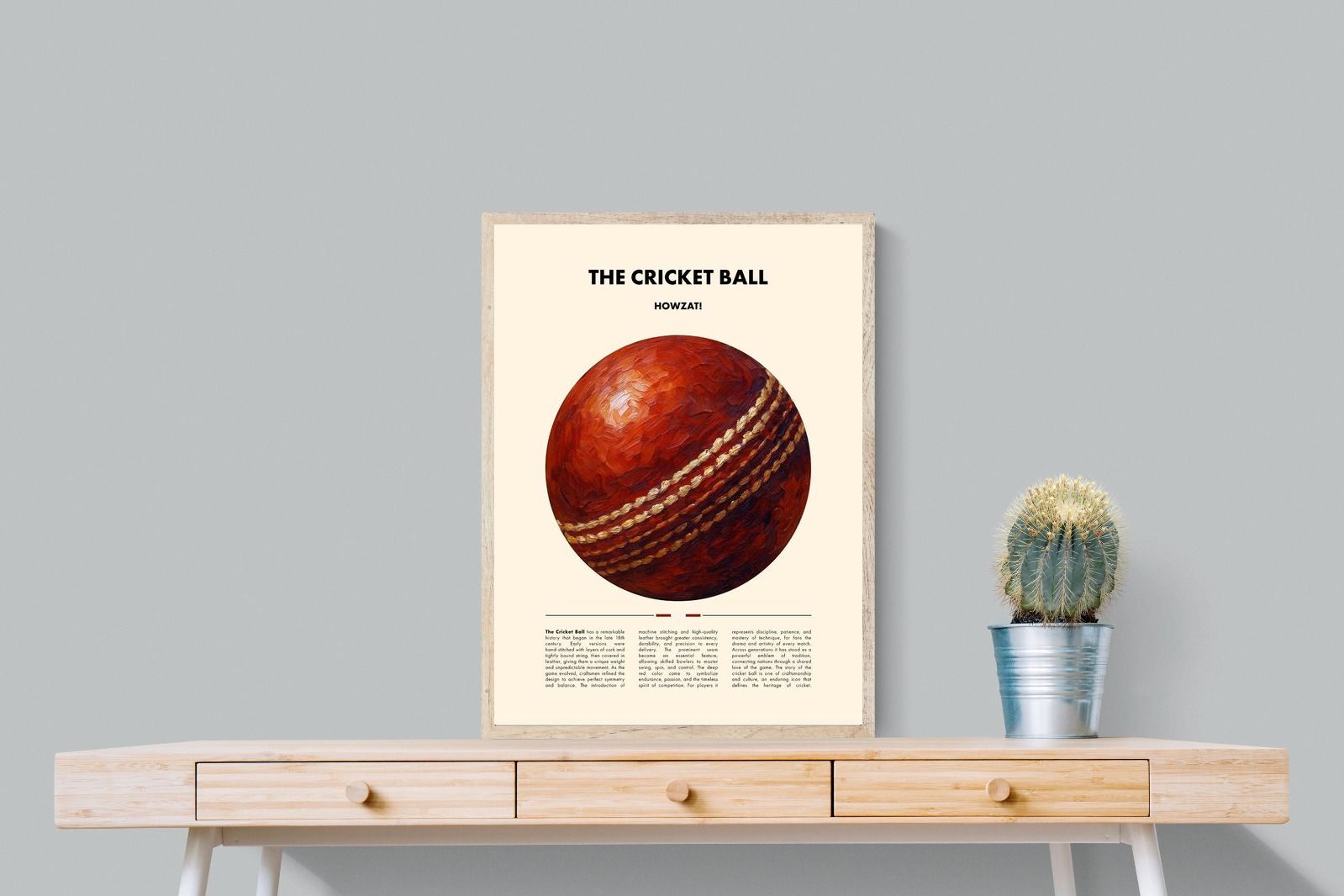 Pixalot ® Cricket Ball