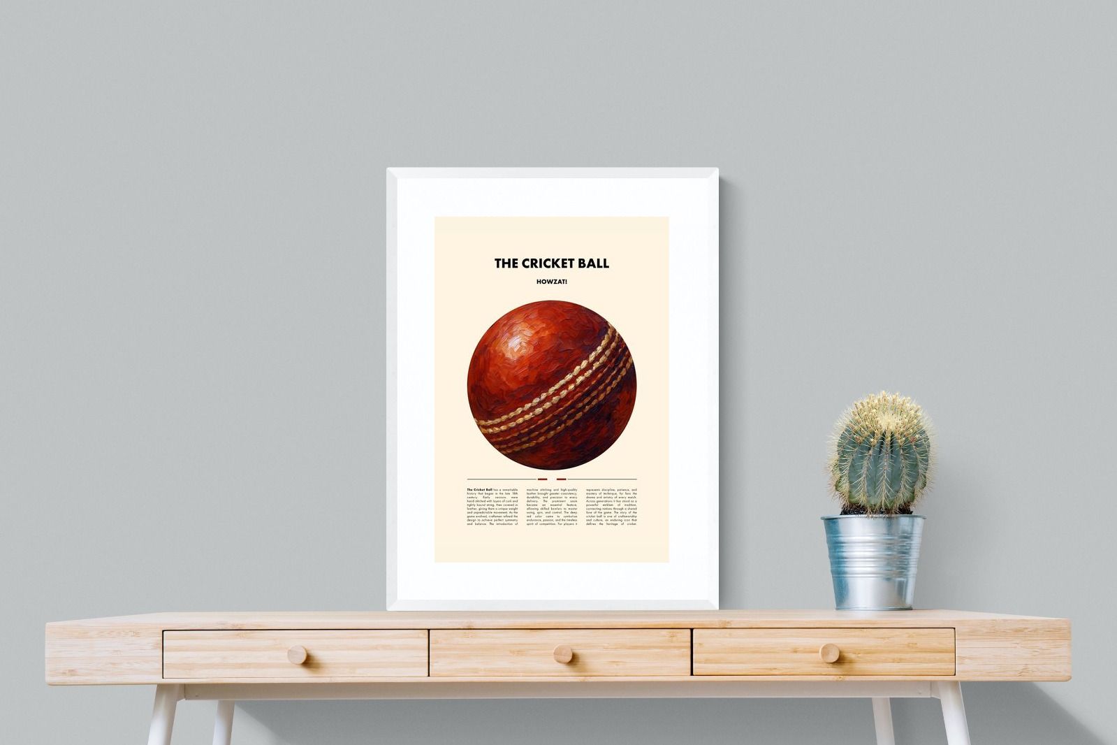 Pixalot ® Cricket Ball