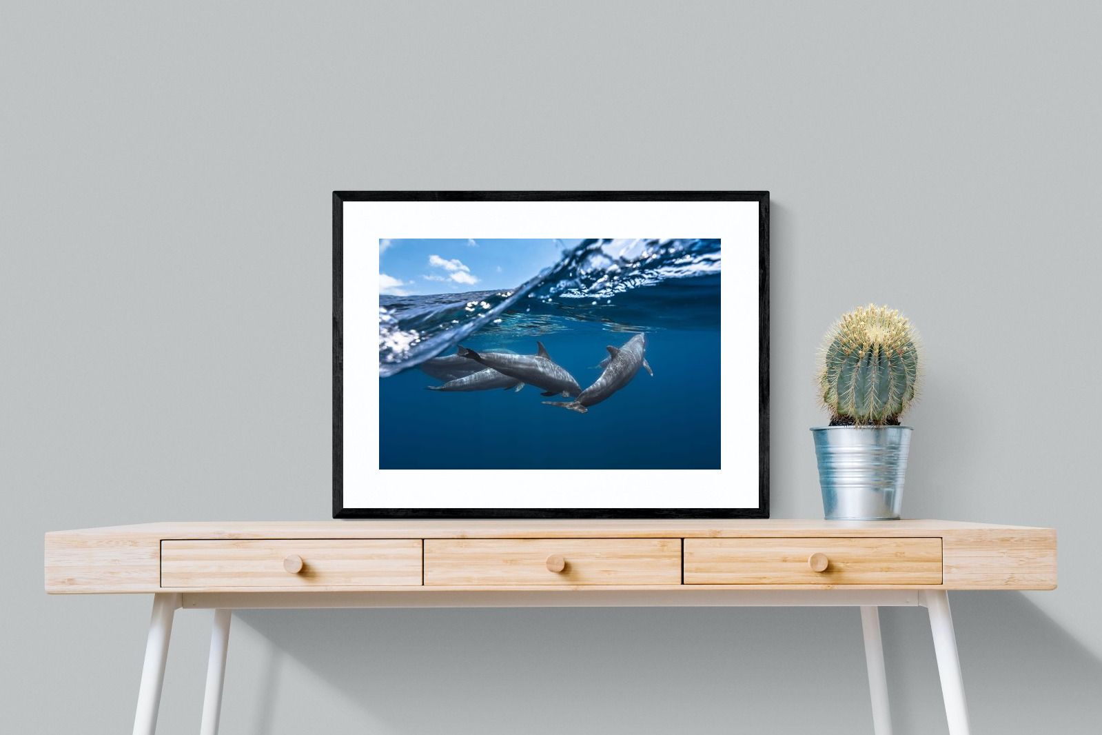 Pixalot Dolphin Trio