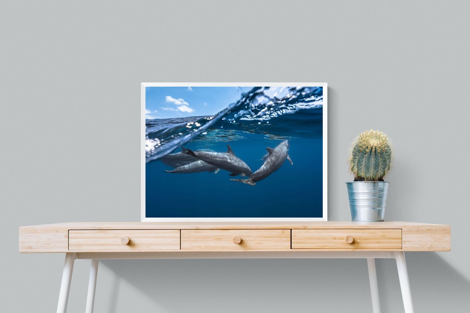 Pixalot Dolphin Trio