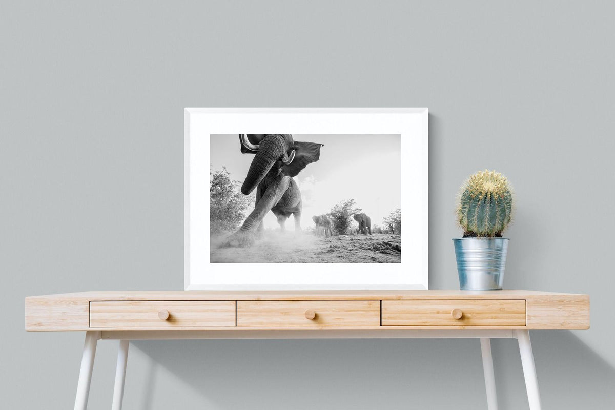 Pixalot ® Elephant Approach