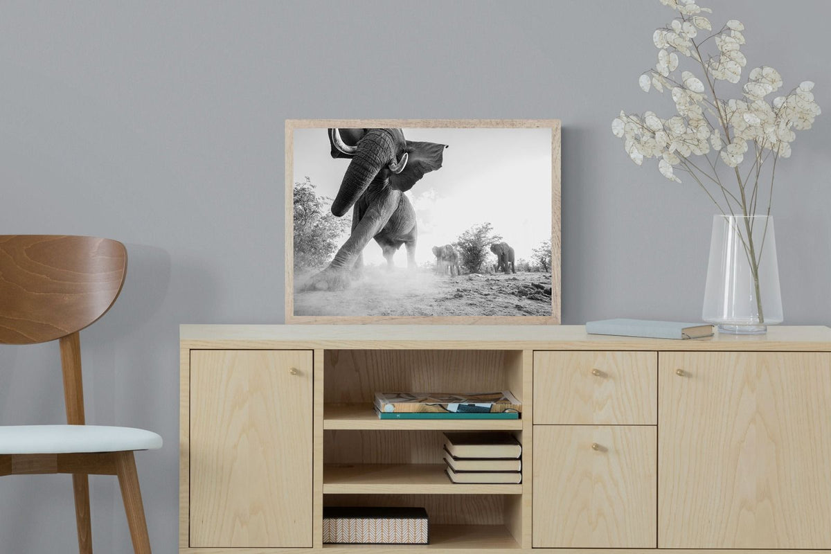 Pixalot ® Elephant Approach