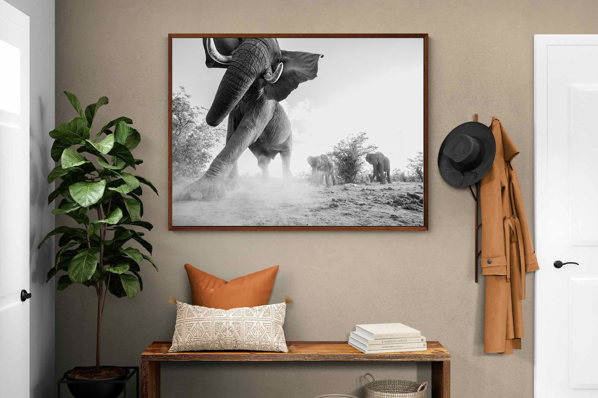 Pixalot ® Elephant Approach