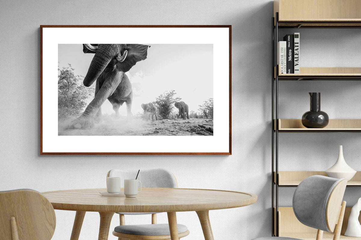 Pixalot ® Elephant Approach