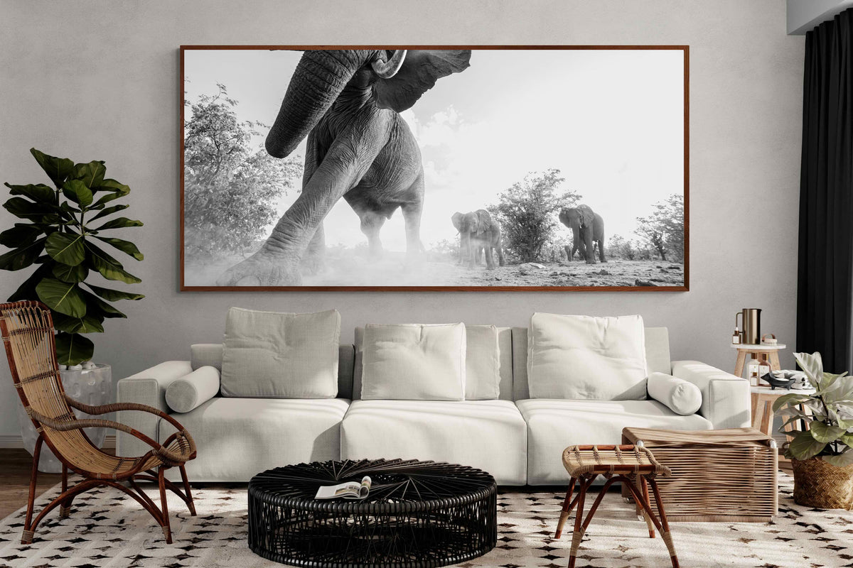 Pixalot ® Elephant Approach