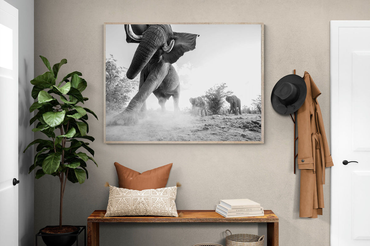 Pixalot ® Elephant Approach