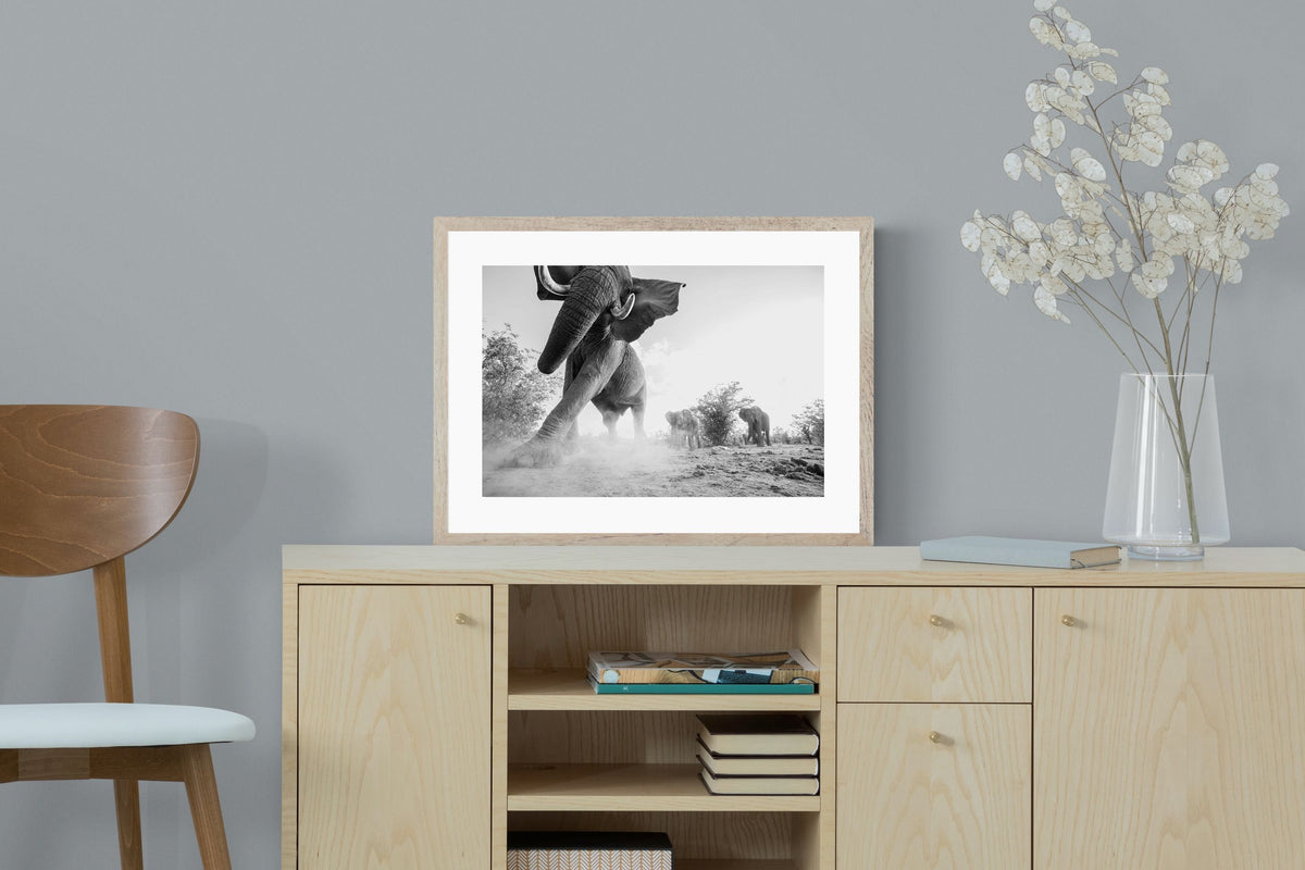 Pixalot ® Elephant Approach