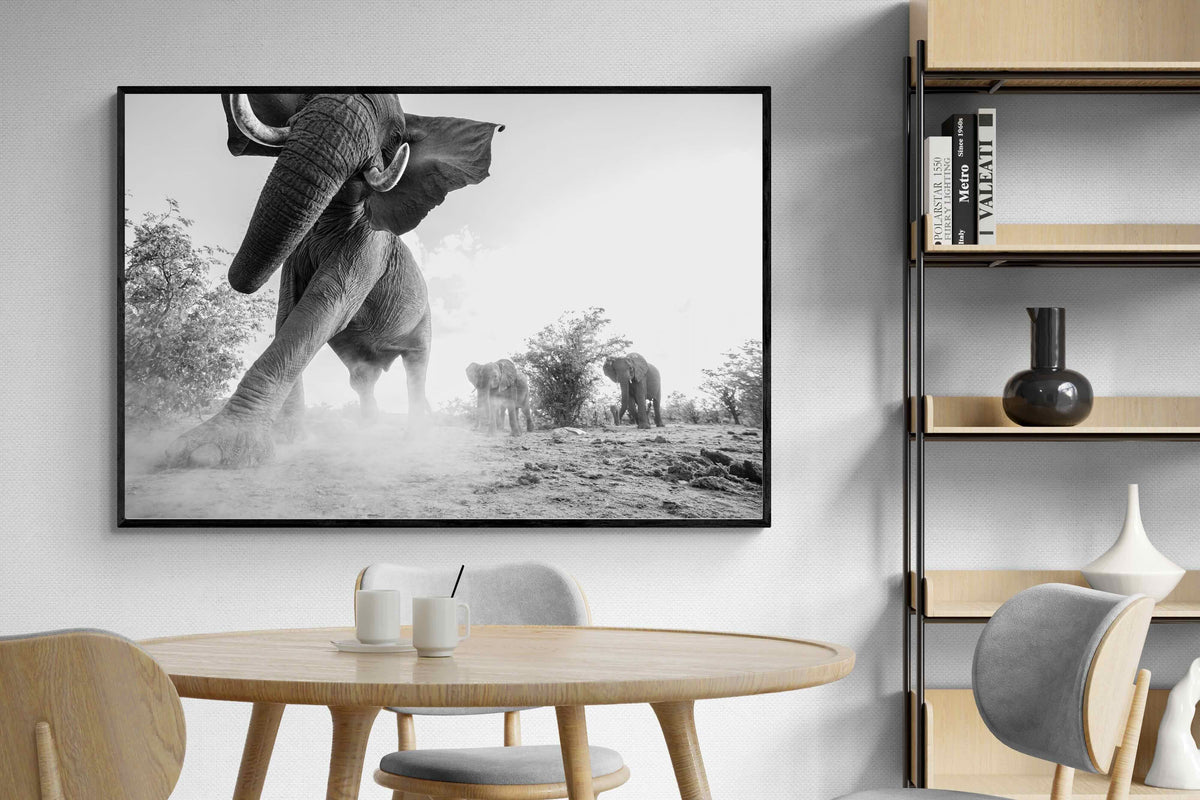Pixalot ® Elephant Approach