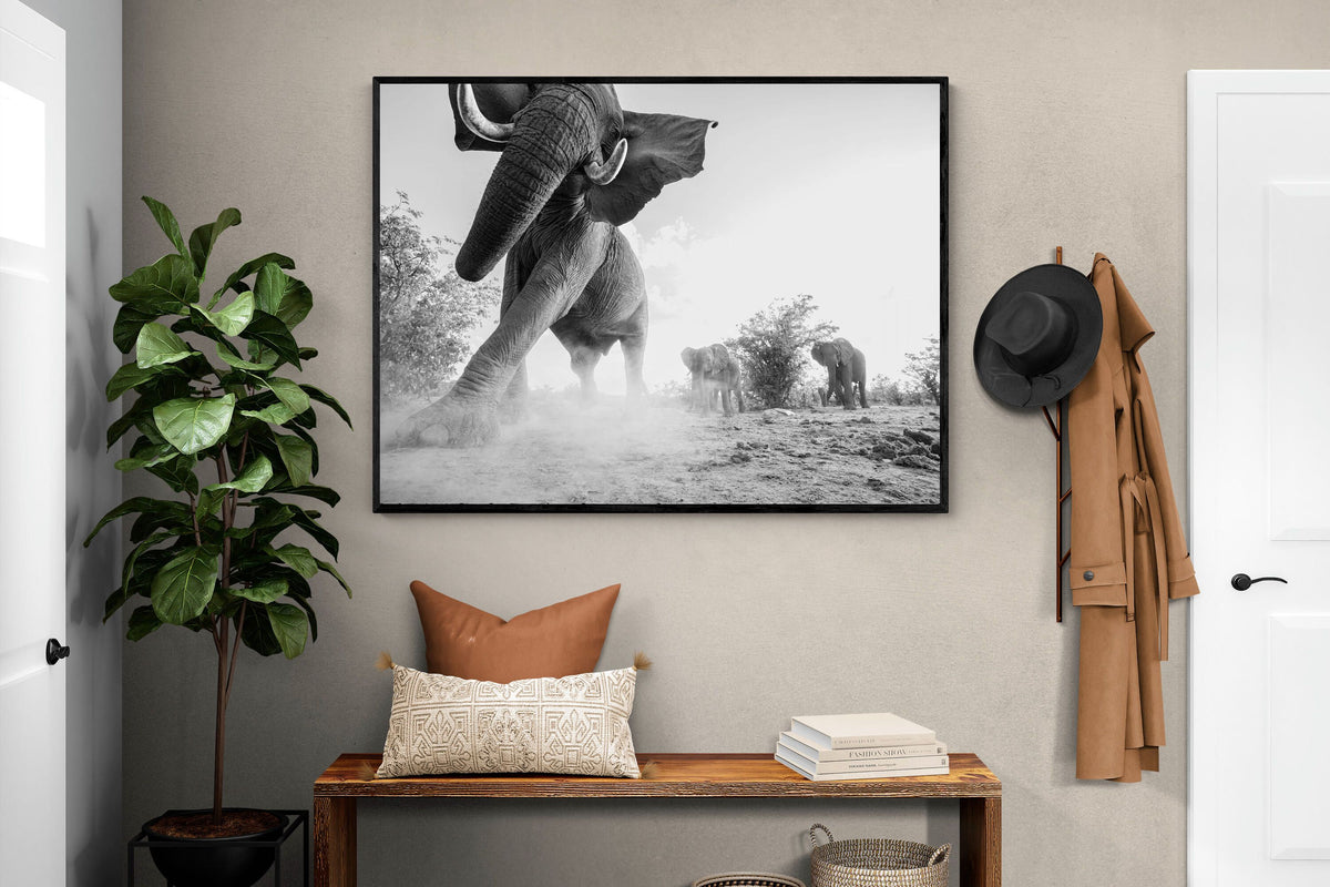 Pixalot ® Elephant Approach