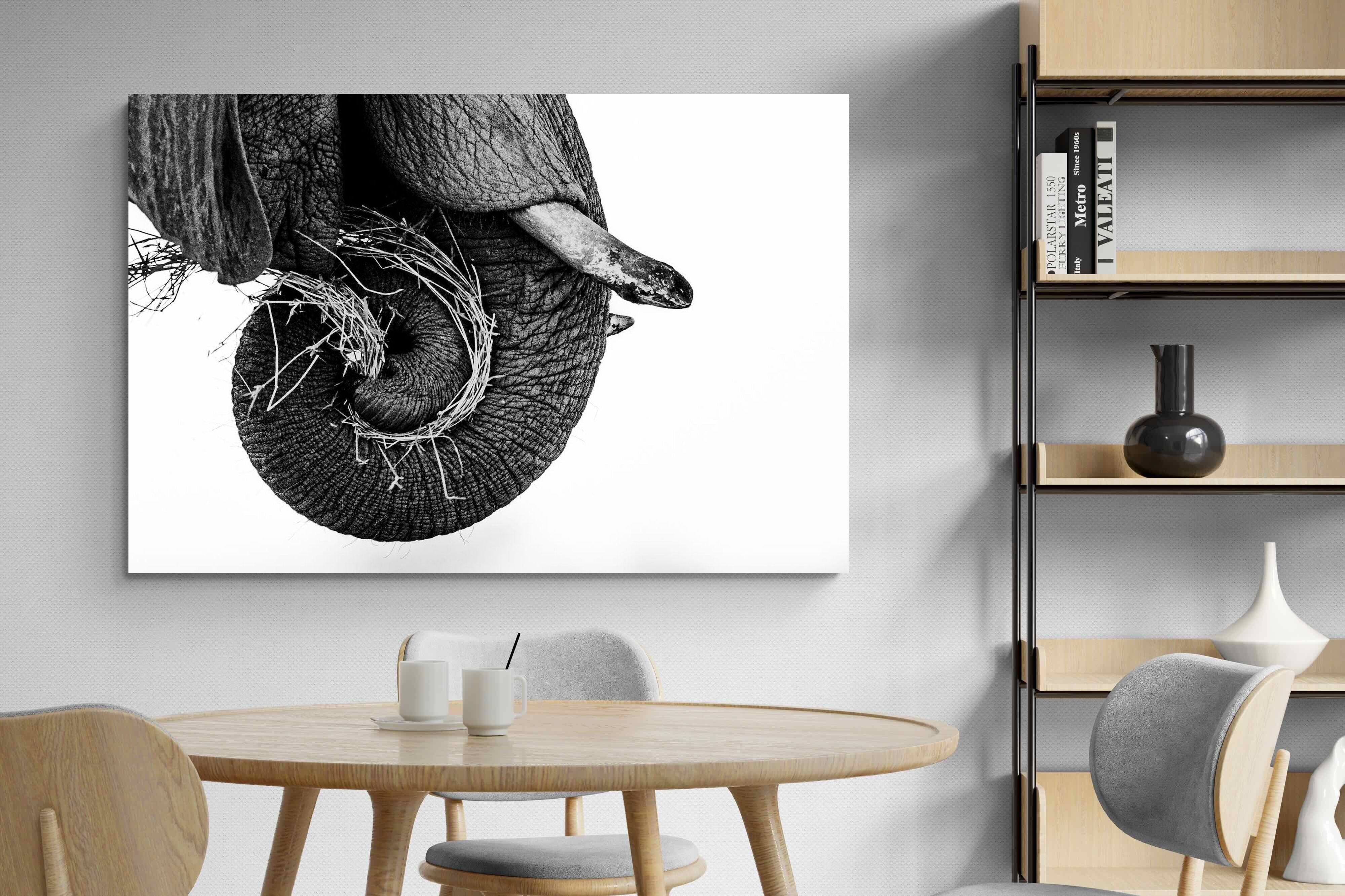 Pixalot ® Elephant Coil