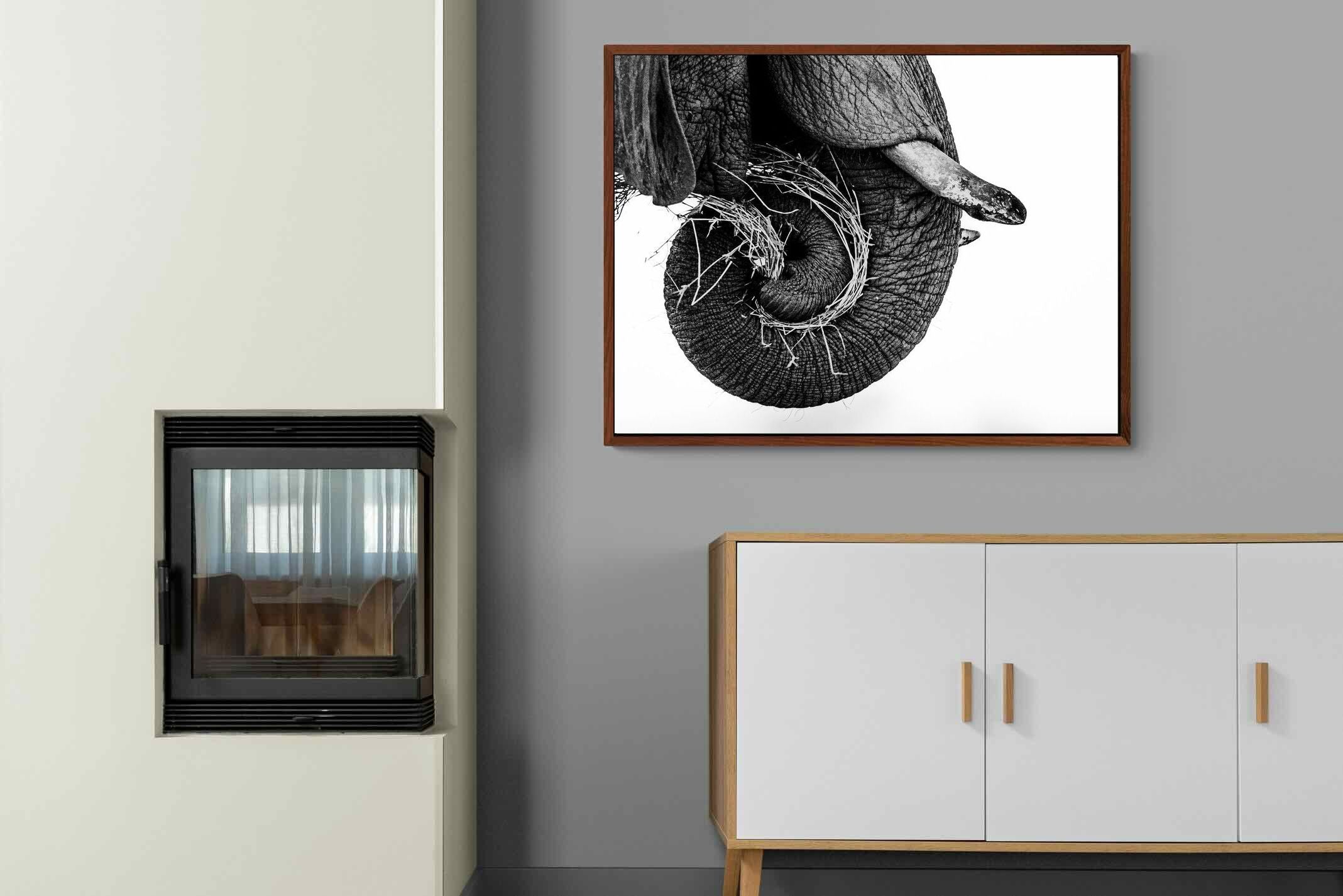 Pixalot ® Elephant Coil