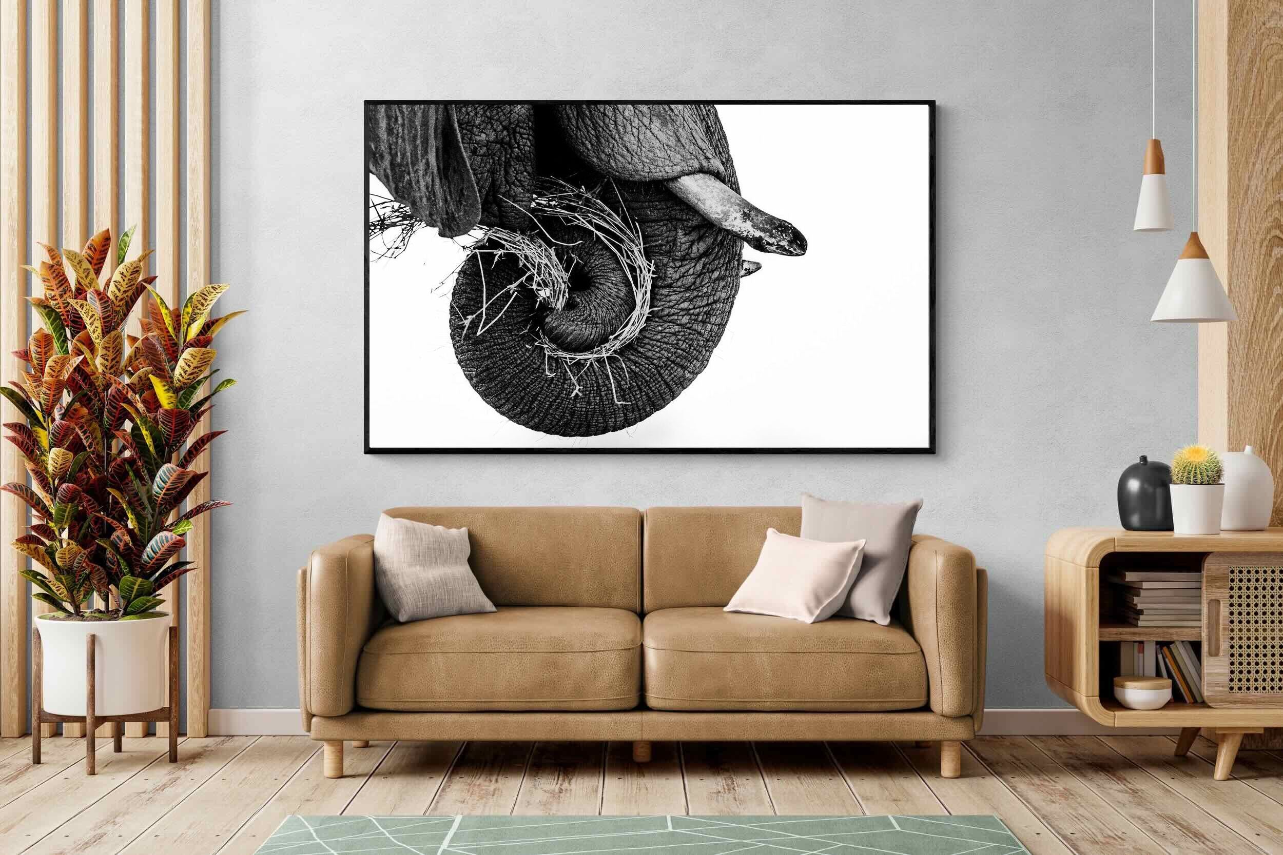 Pixalot ® Elephant Coil