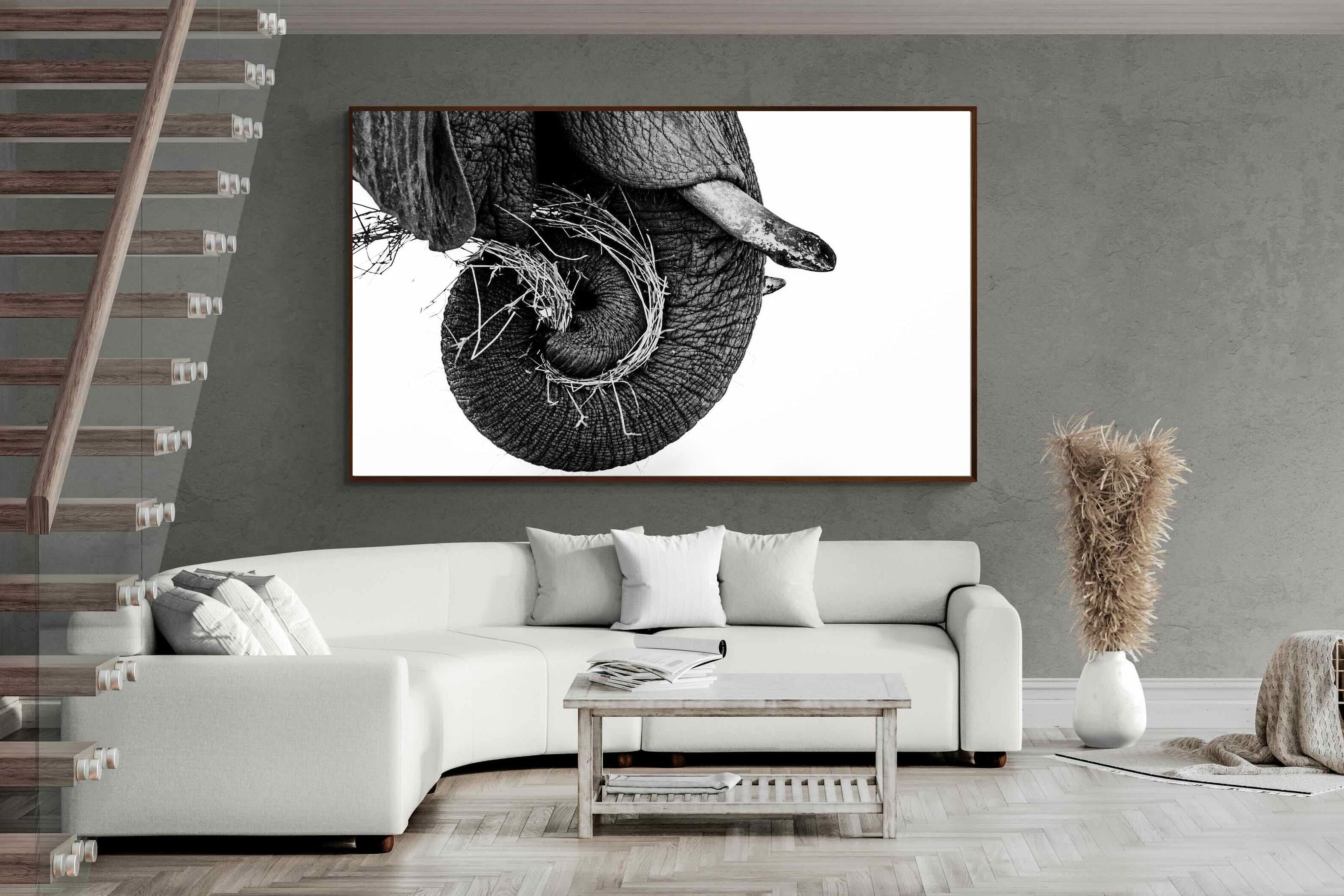 Pixalot ® Elephant Coil