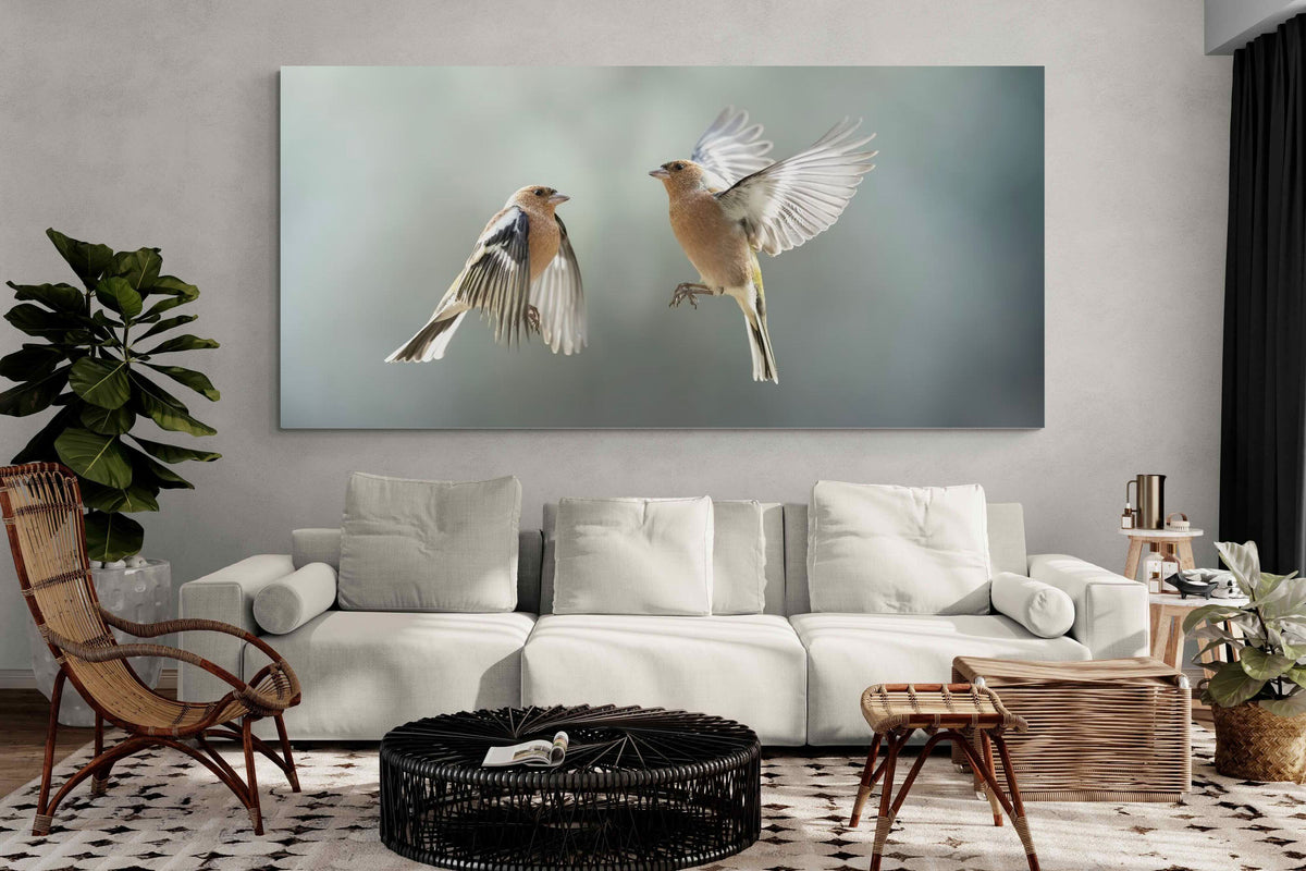 Pixalot ® Finches in Flight