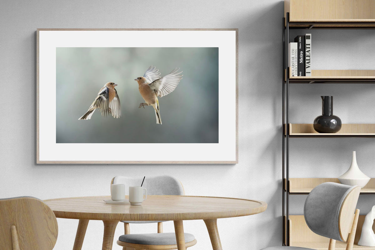 Pixalot ® Finches in Flight