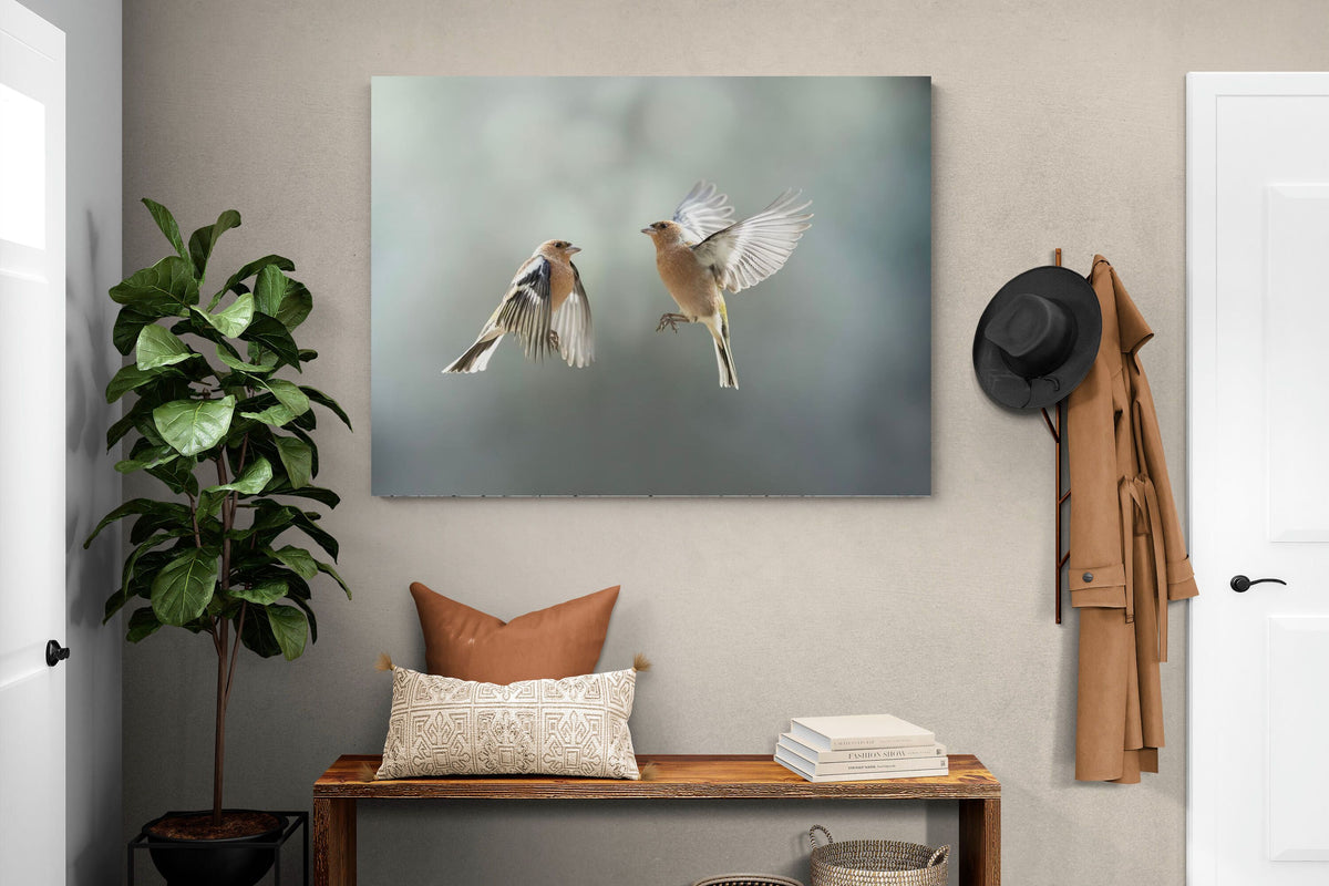 Pixalot ® Finches in Flight