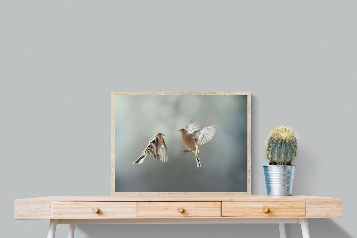 Pixalot ® Finches in Flight