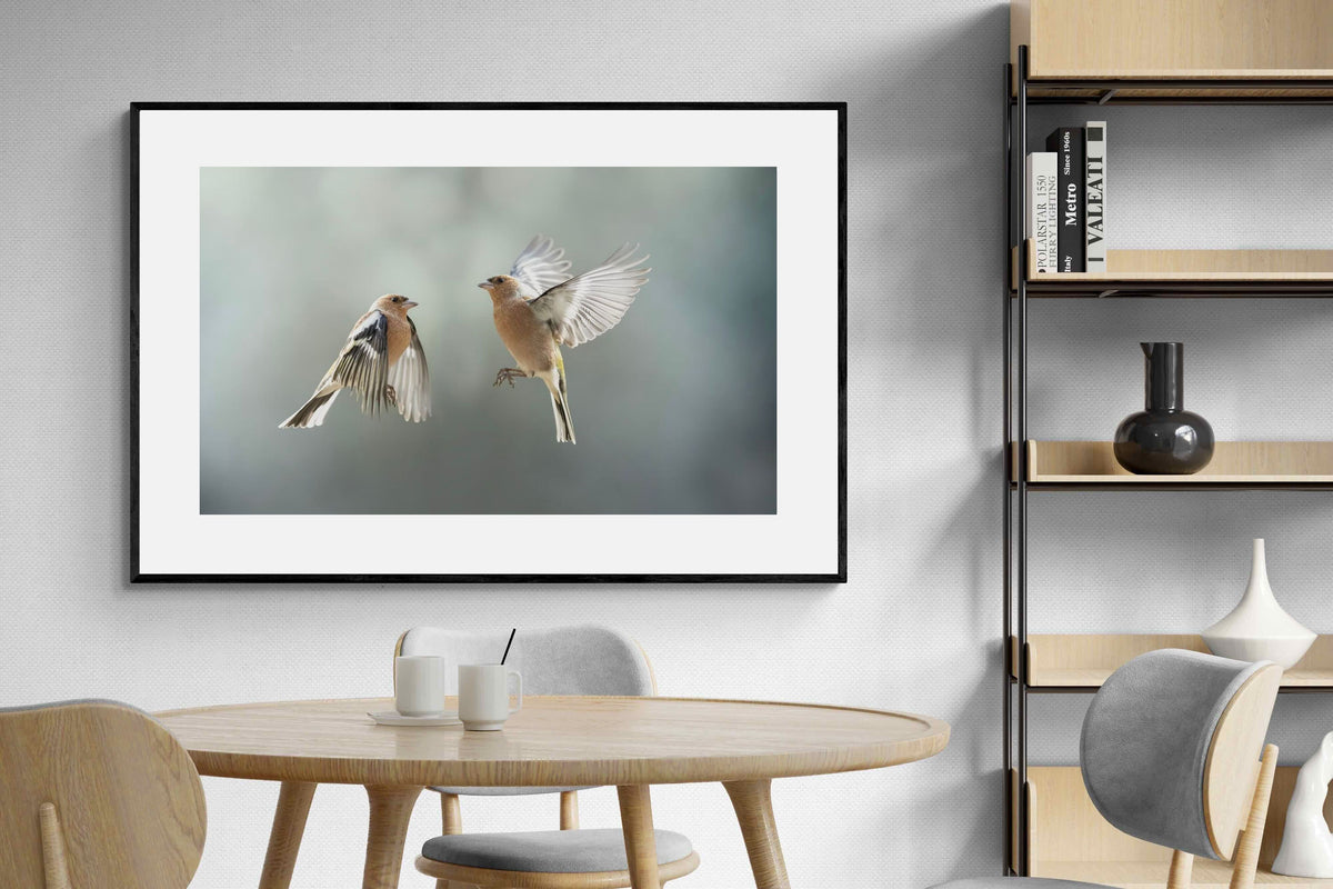 Pixalot ® Finches in Flight