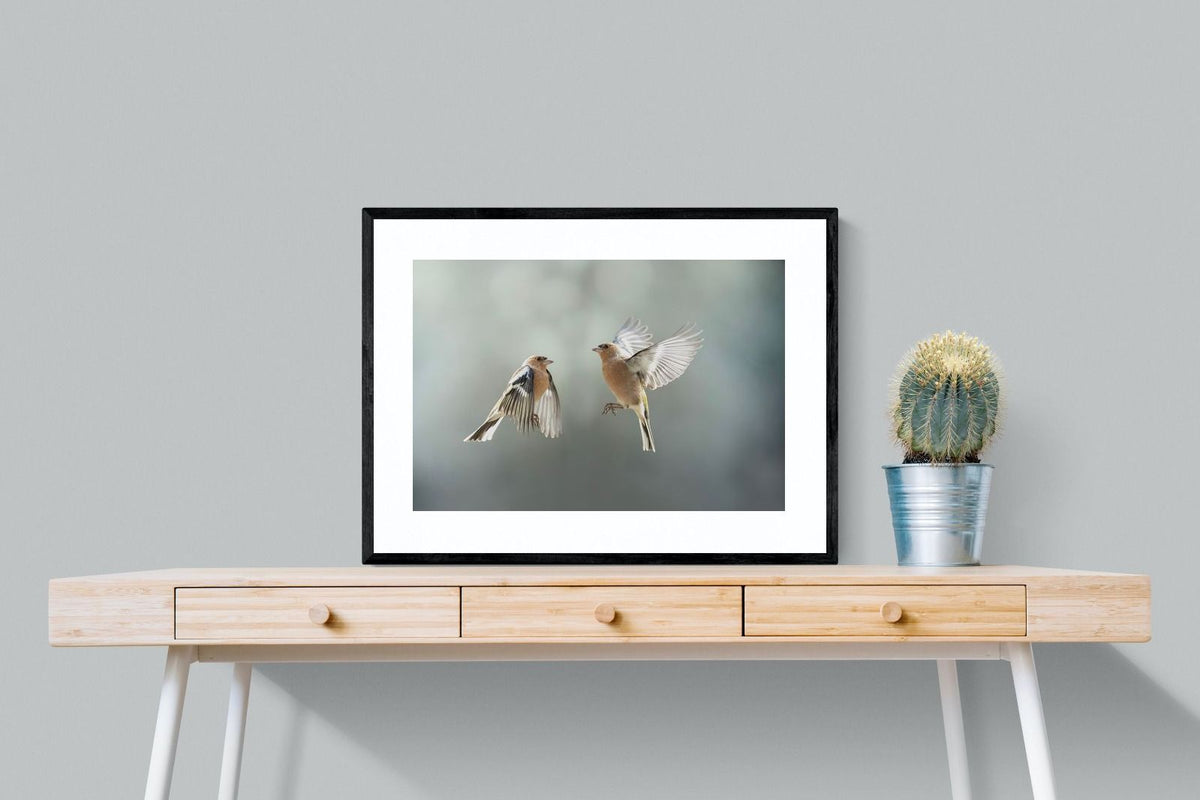 Pixalot ® Finches in Flight