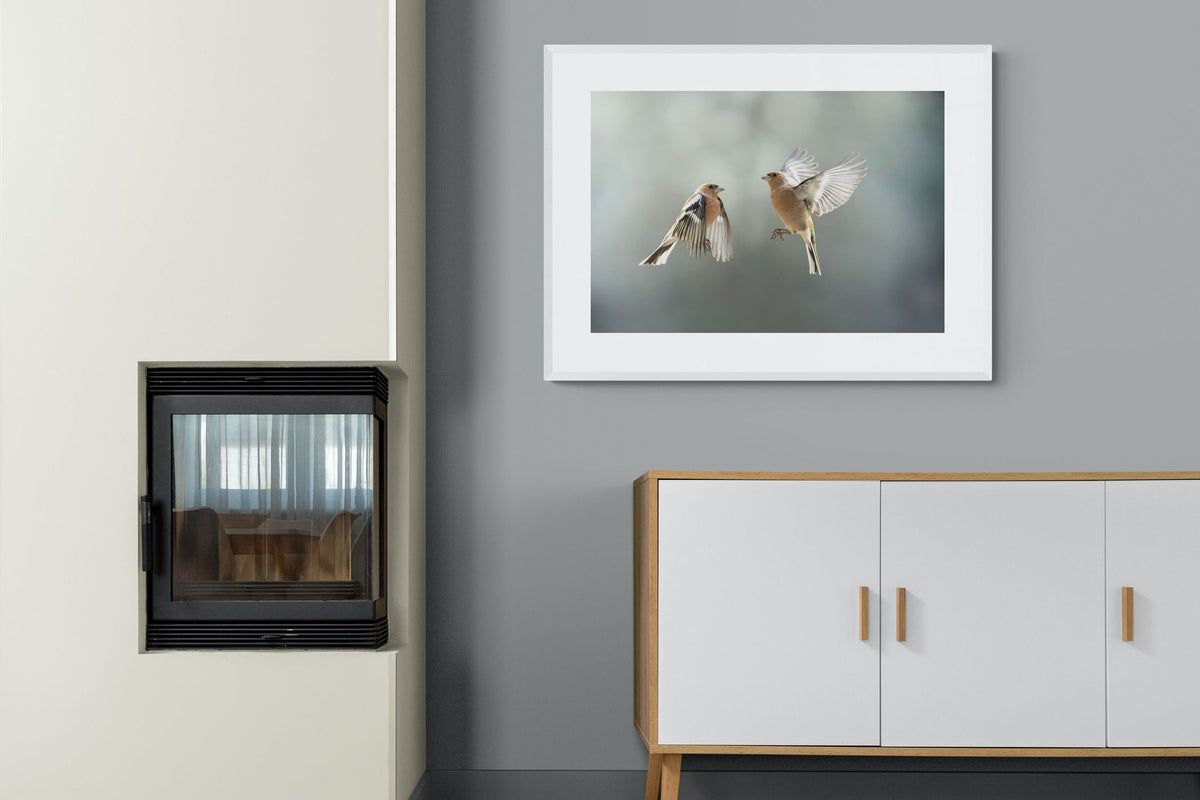 Pixalot ® Finches in Flight