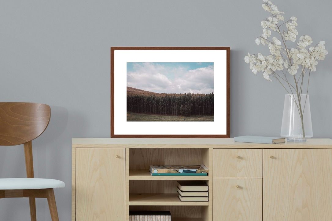 Pixalot ® Forest Layers