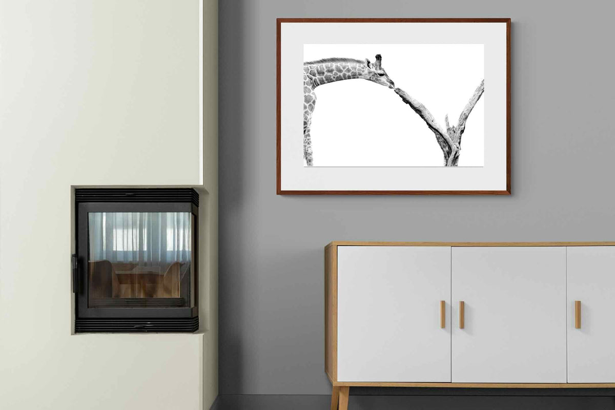 Pixalot ® Giraffe Study