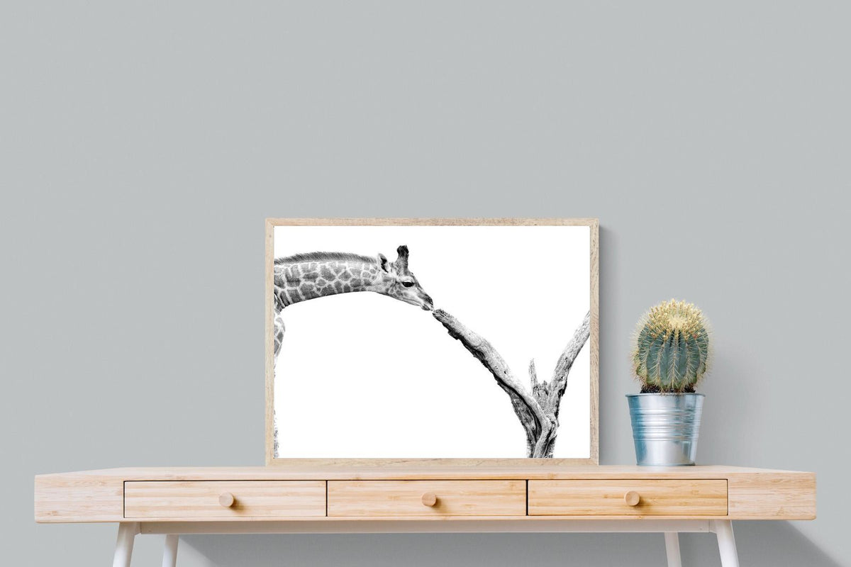 Pixalot ® Giraffe Study