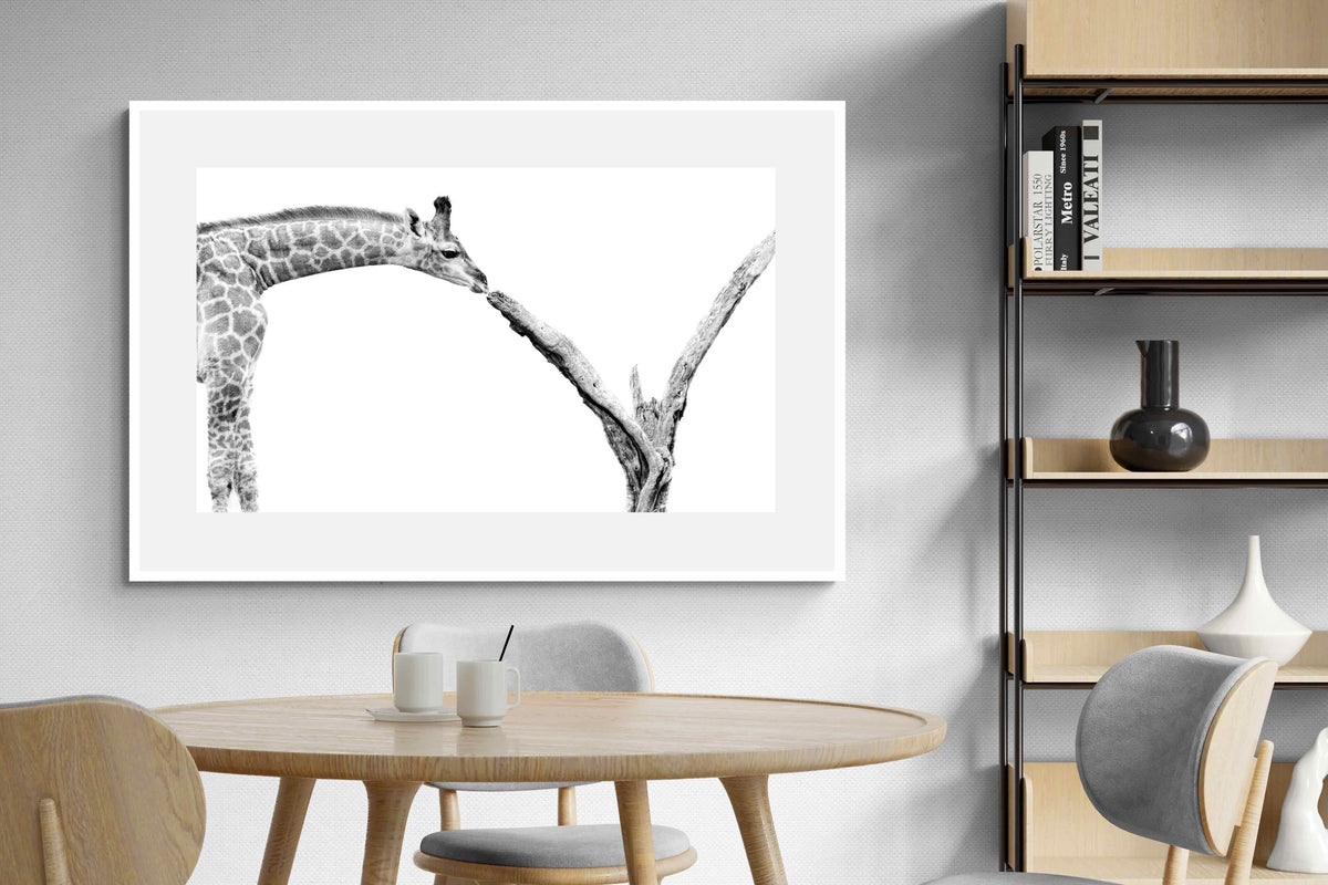 Pixalot ® Giraffe Study