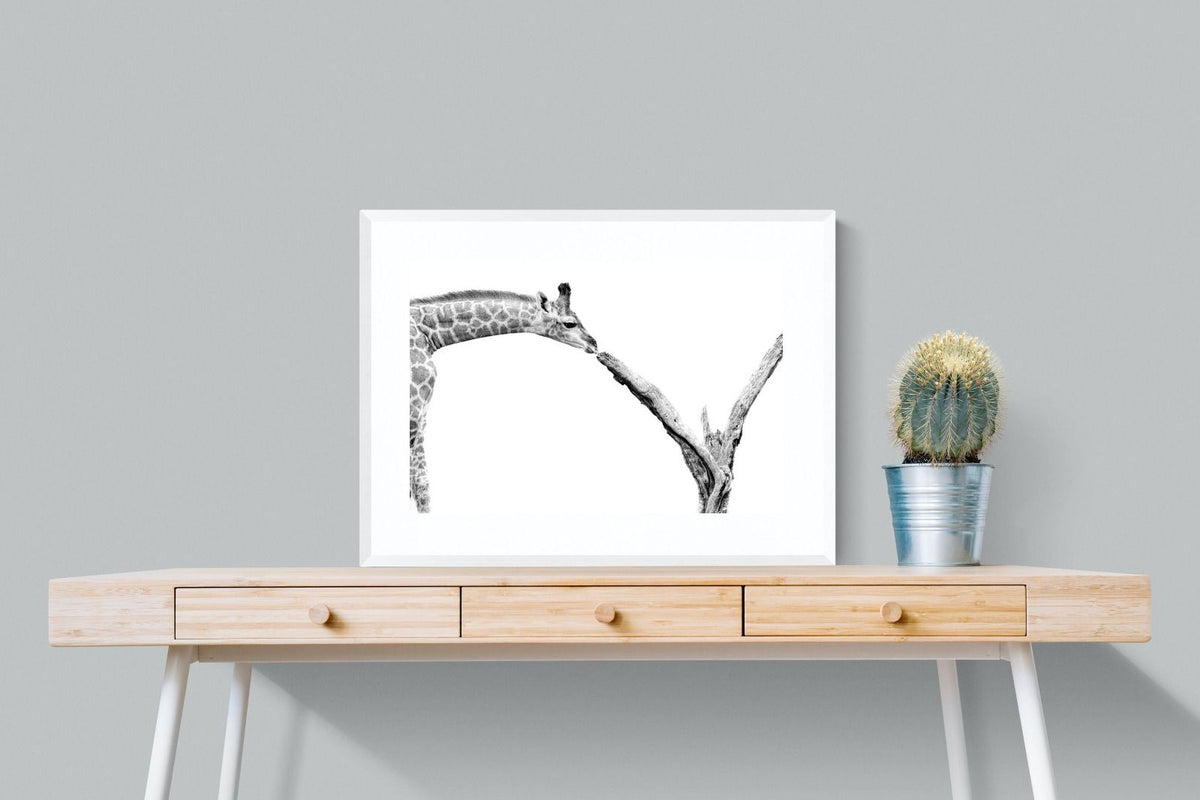 Pixalot ® Giraffe Study