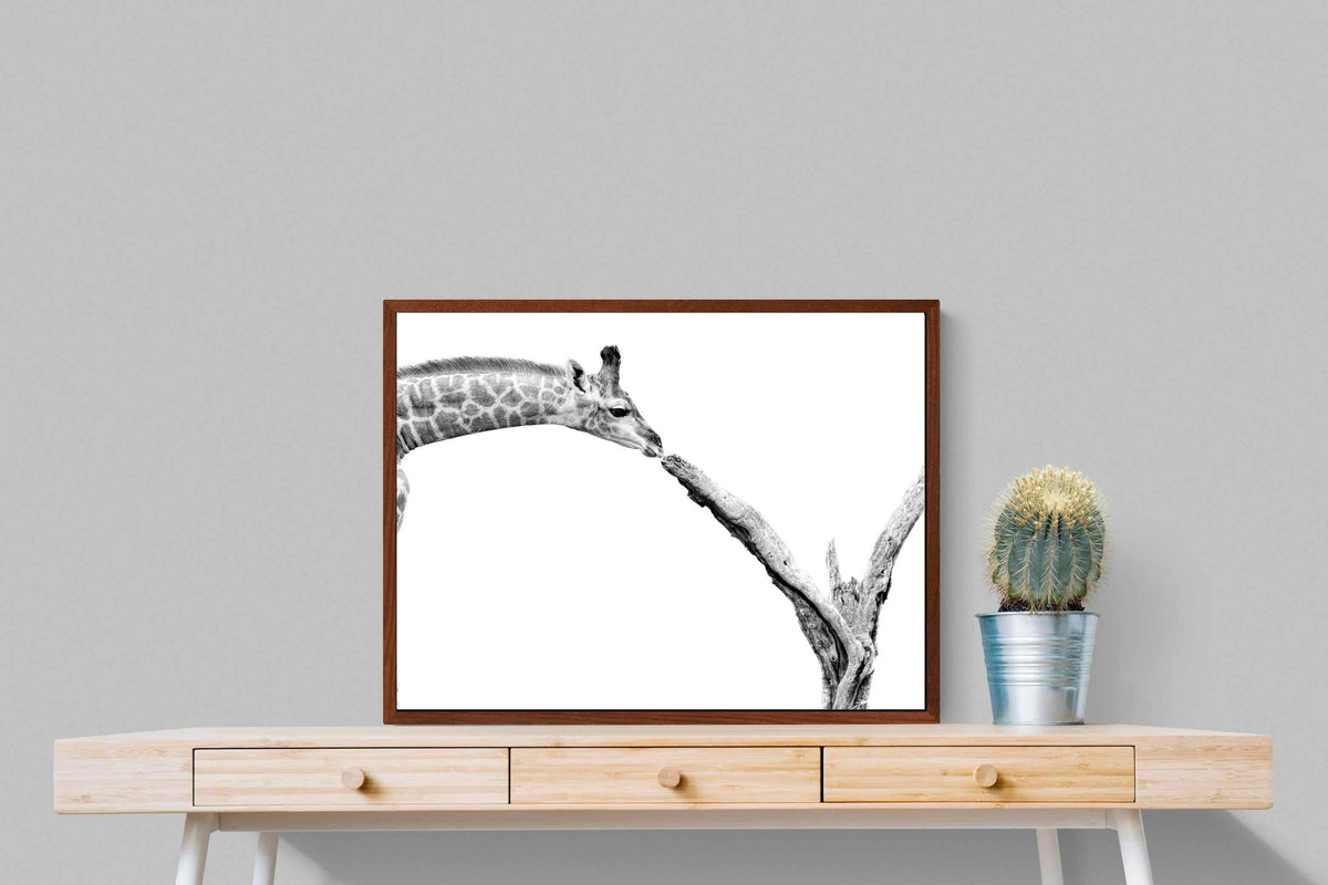 Pixalot ® Giraffe Study