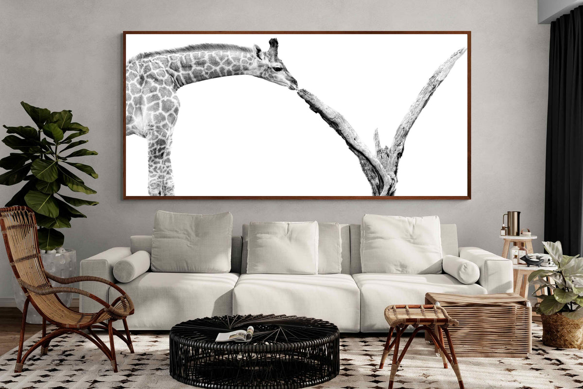 Pixalot ® Giraffe Study