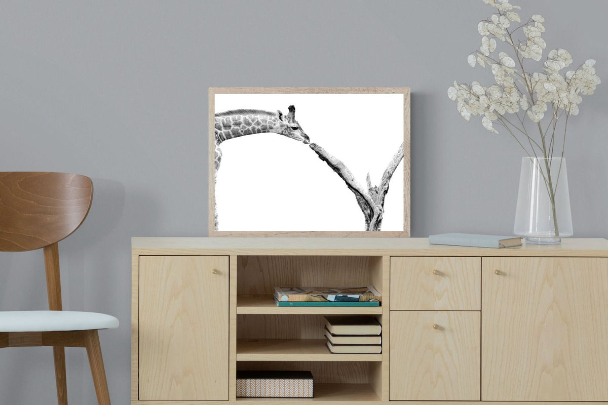 Pixalot ® Giraffe Study