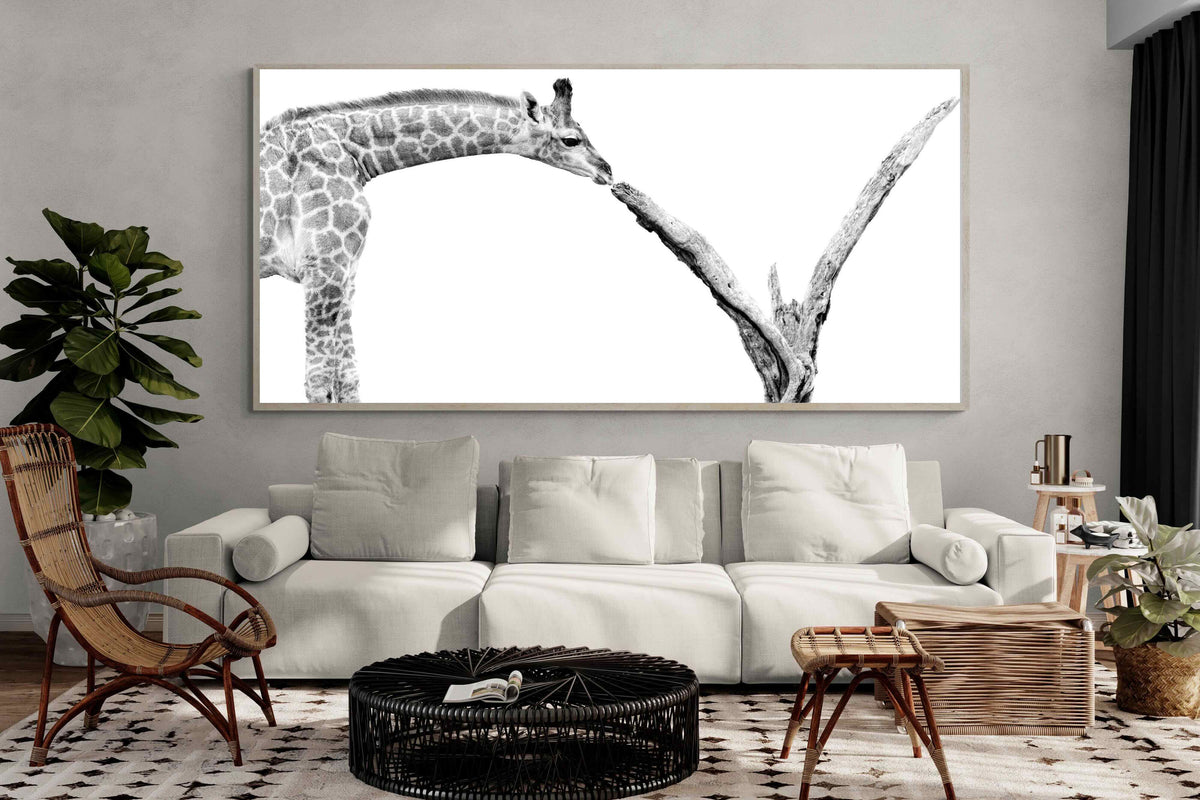 Pixalot ® Giraffe Study