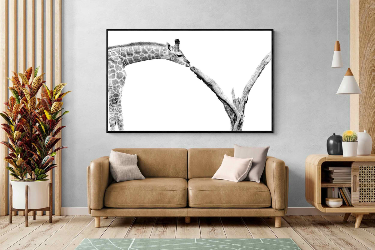 Pixalot ® Giraffe Study