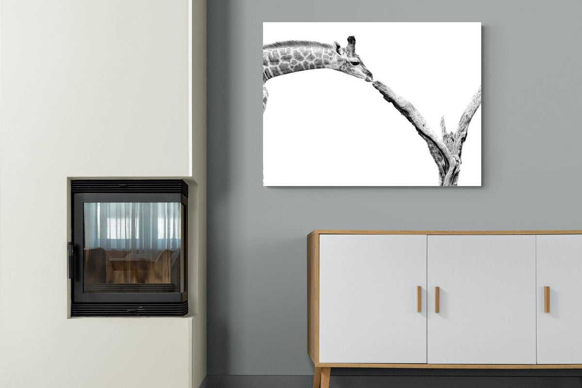 Pixalot ® Giraffe Study