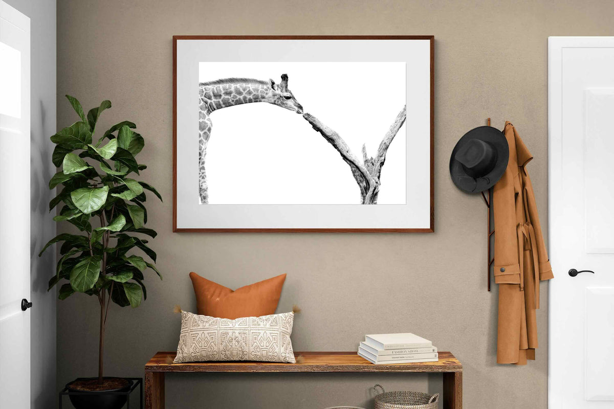 Pixalot ® Giraffe Study