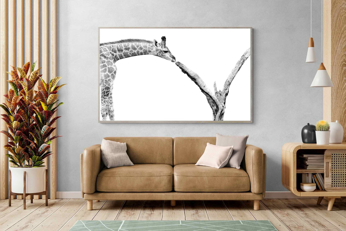Pixalot ® Giraffe Study