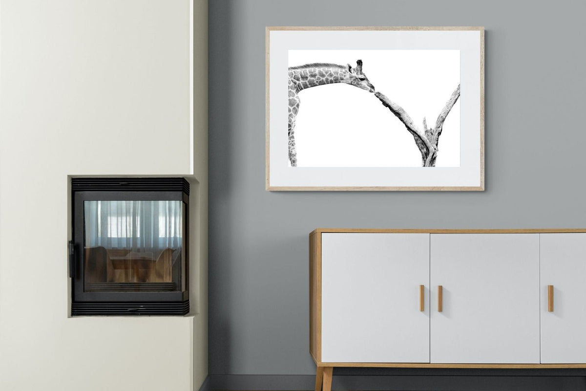 Pixalot ® Giraffe Study
