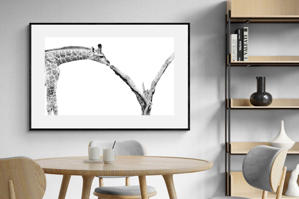 Pixalot ® Giraffe Study
