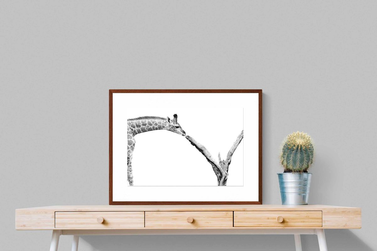 Pixalot ® Giraffe Study