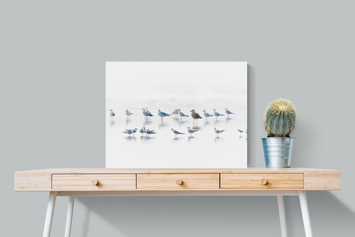 Pixalot ® Gull Gathering