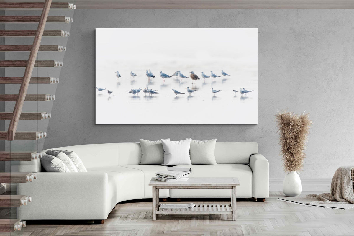 Pixalot ® Gull Gathering