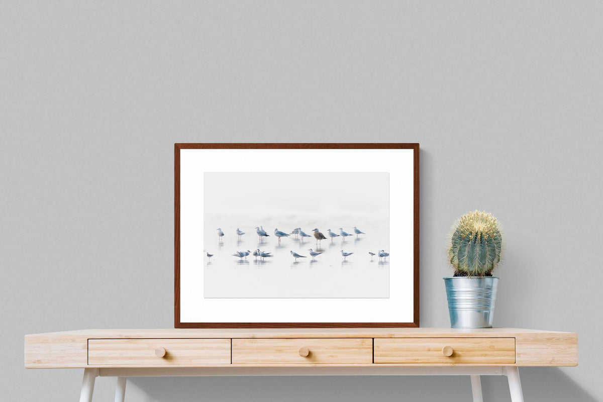 Pixalot ® Gull Gathering