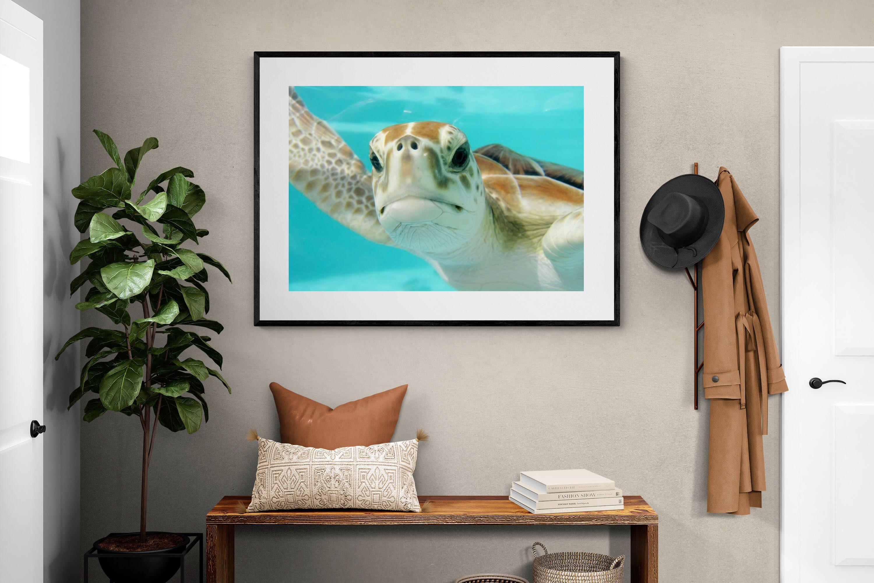 Pixalot ® Hello Turtle