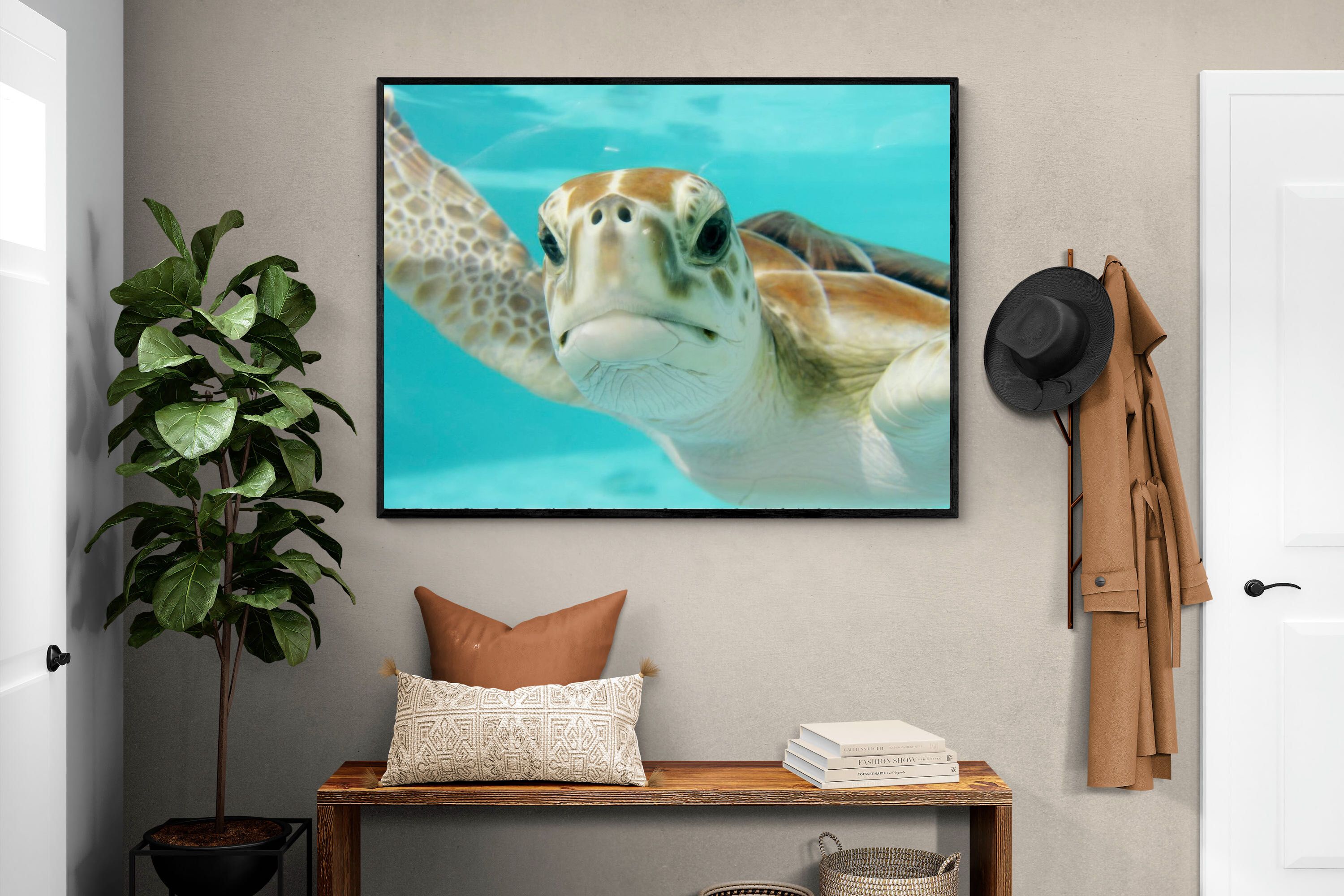 Pixalot ® Hello Turtle